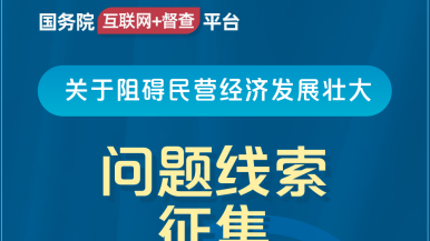 鎳傝壊鍦ㄧ嚎瑙嗛国务院“互联网+督查”平台公开征集阻碍民营经济发展壮大问题线索